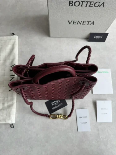 Bottega Veneta Small Andiamo Bag (1)