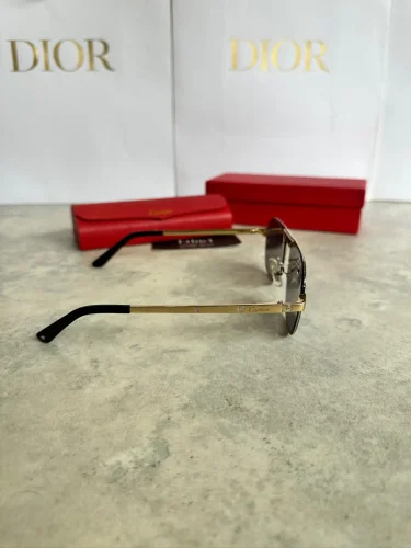 Cartier Santos de Cartier CT0532S Aviator Sunglasses (5)