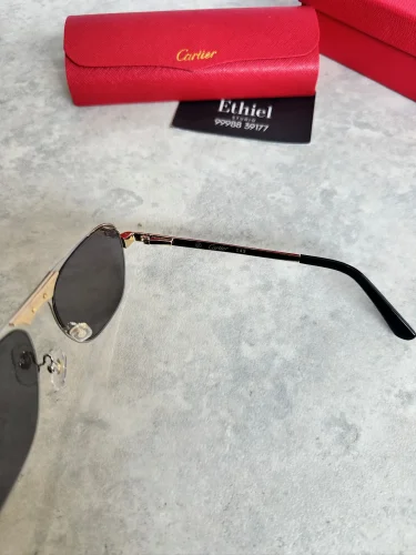 Cartier Santos de Cartier CT0532S Aviator Sunglasses (7)