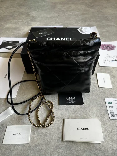 Chanel Mini 22 Bag with Pearl Chain (3)