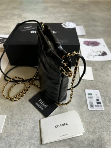 Chanel Mini 22 Bag with Pearl Chain (4)
