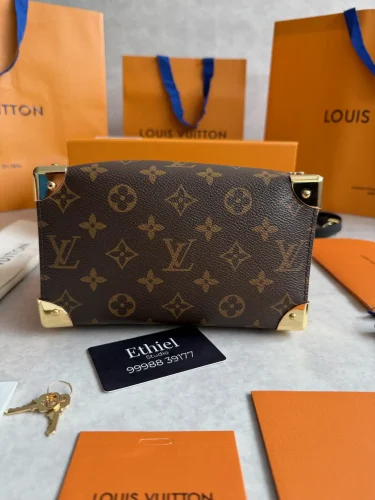 Louis Vuitton Speedy Trunk bag (1)