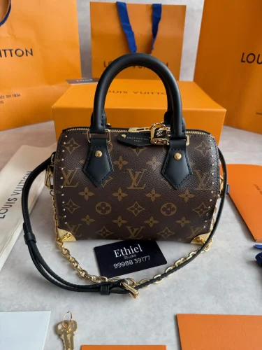 Louis Vuitton Speedy Trunk bag (10)