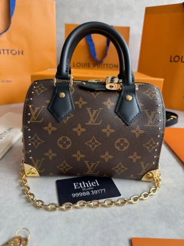 Louis Vuitton Speedy Trunk bag (11)
