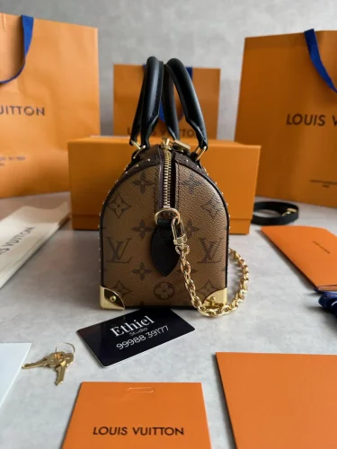 Louis Vuitton Speedy Trunk bag (12)