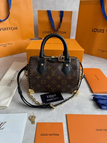 Louis Vuitton Speedy Trunk bag (2)