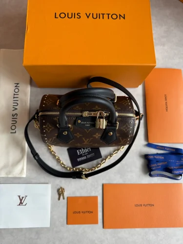 Louis Vuitton Speedy Trunk bag (3)