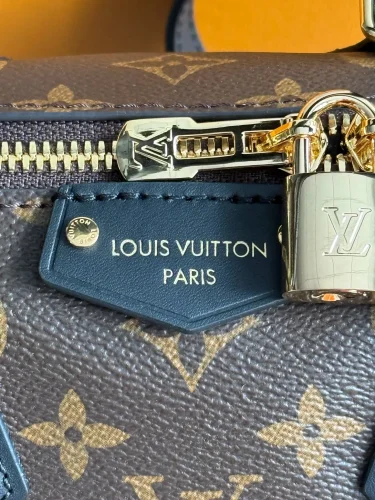 Louis Vuitton Speedy Trunk bag (4)