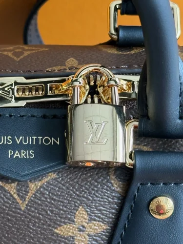 Louis Vuitton Speedy Trunk bag (5)