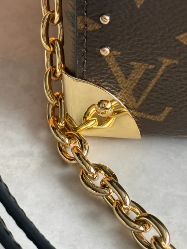 Louis Vuitton Speedy Trunk bag (6)