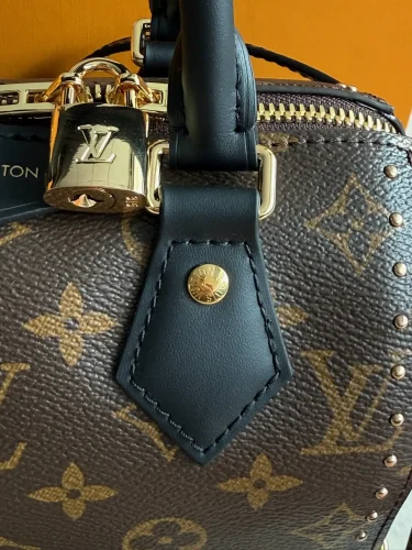 Louis Vuitton Speedy Trunk bag (7)