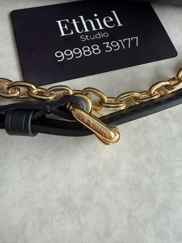 Louis Vuitton Speedy Trunk bag (8)